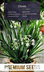 Garlic Chives Chinese Herb Seeds.